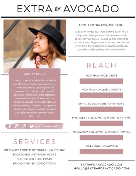 Extra for Avocado Media Kit 1